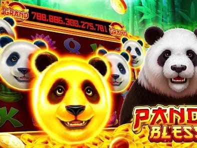 Premium Slots Gallery Showcase